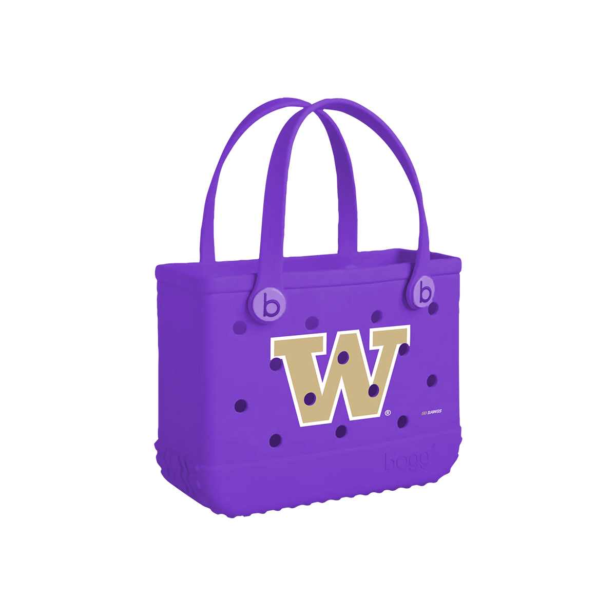 Bitty - Washington Huskies S8