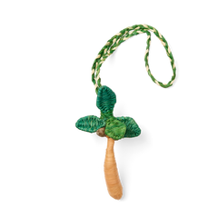 'd & Charmed - Raffia Palm F0